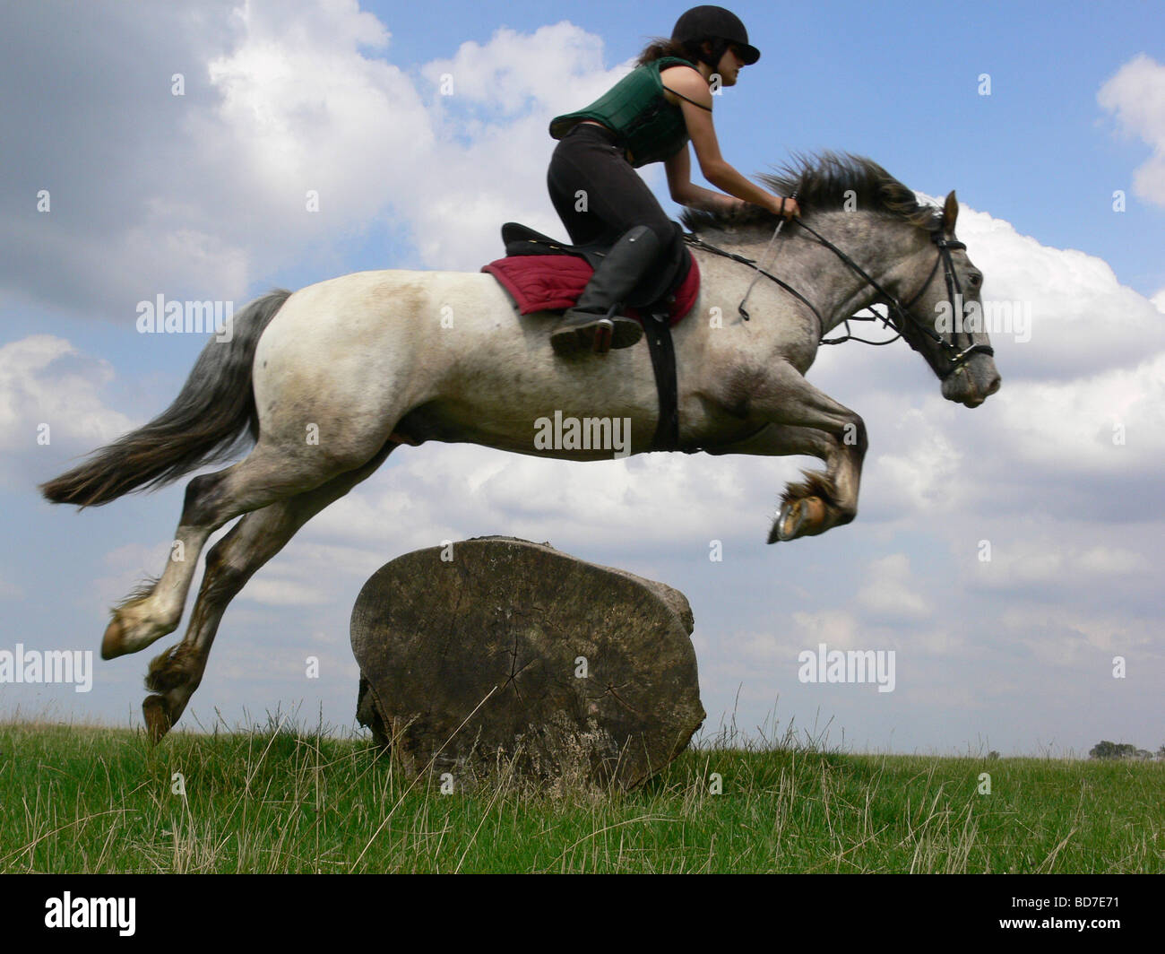Ragazza adolescente jumping pony sul log Foto Stock
