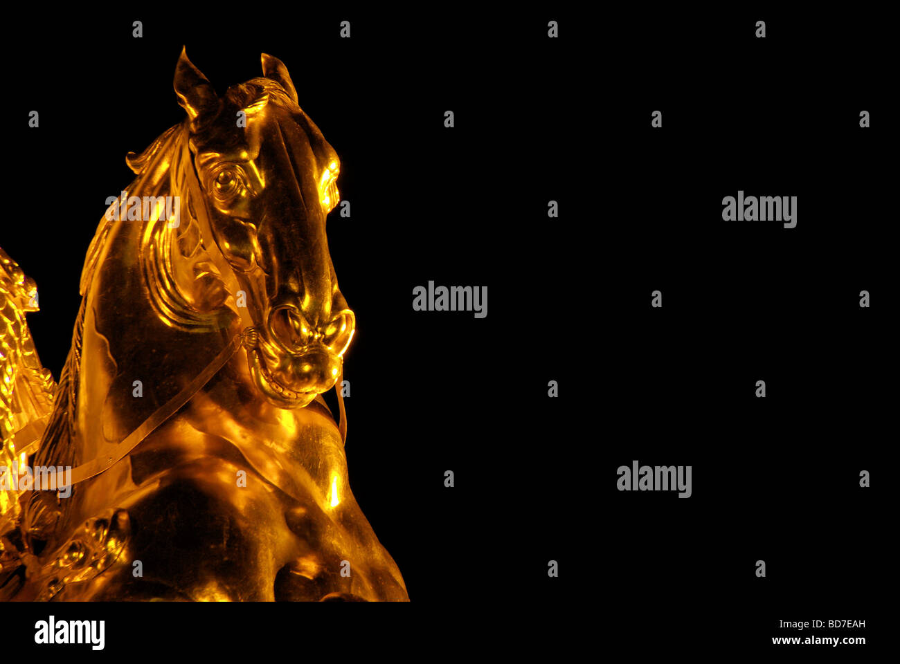Dresden Goldener Reiter Nacht Dresden Golden Knight notte 04 Foto Stock