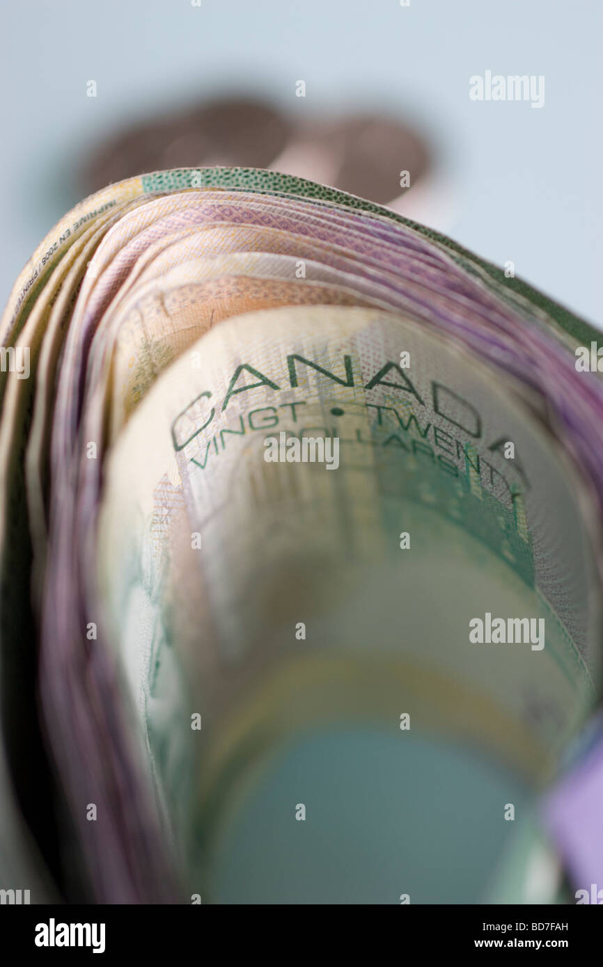 Dollaro Canadese dollar canadien loonie valuta del Canada una profondità di campo limitata a causa di messa a fuoco minima Foto Stock