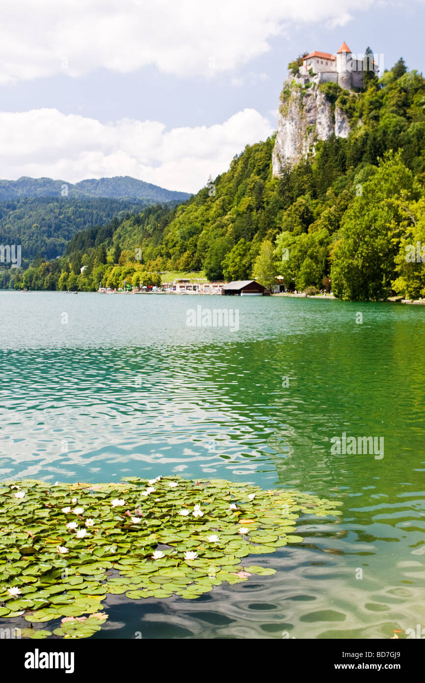 Il lago di Bled Slovenia Foto Stock