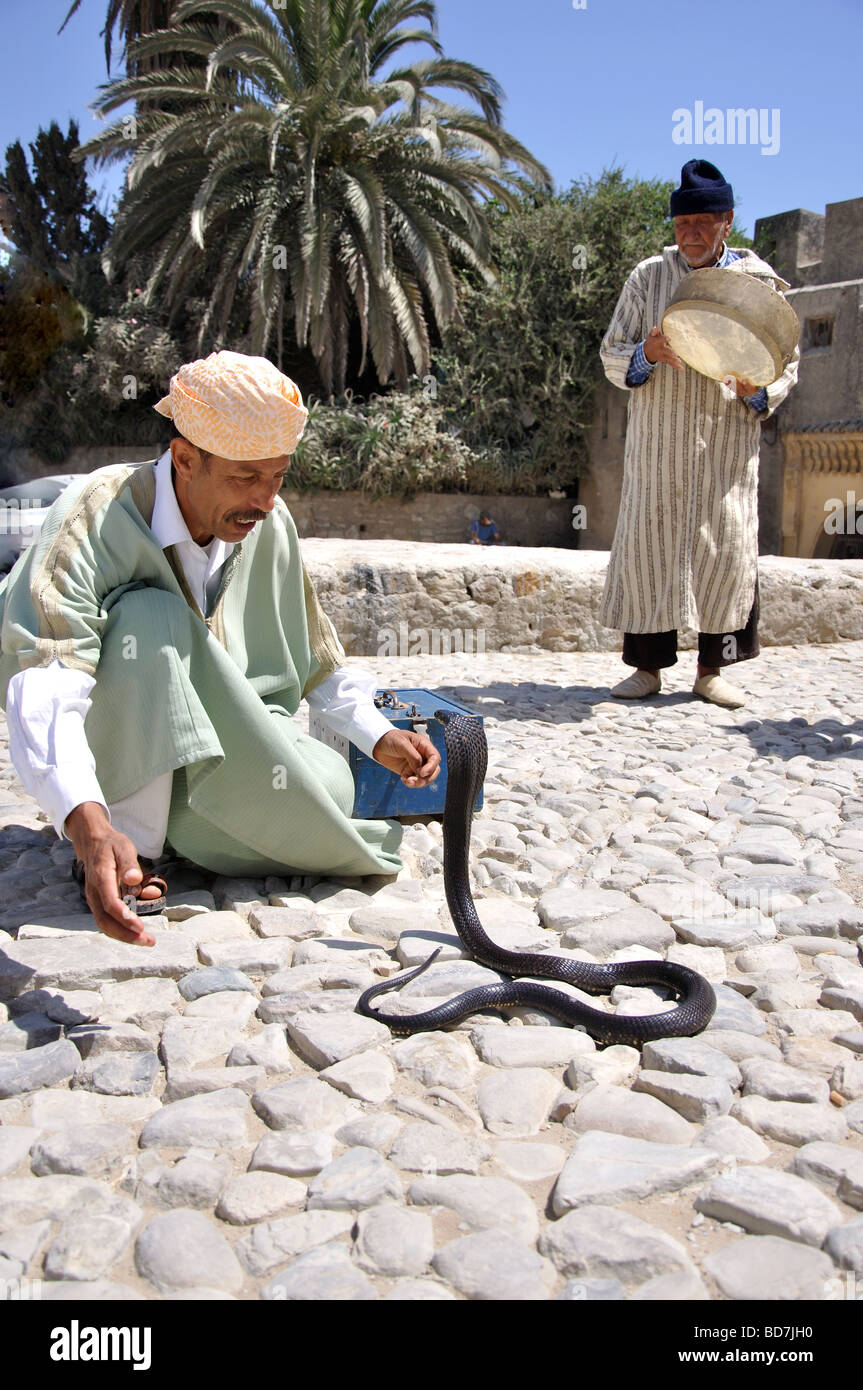 Il serpente incantatore con Cobra, Medina, Tangeri, Regione Tangier-Tétouan, Marocco Foto Stock