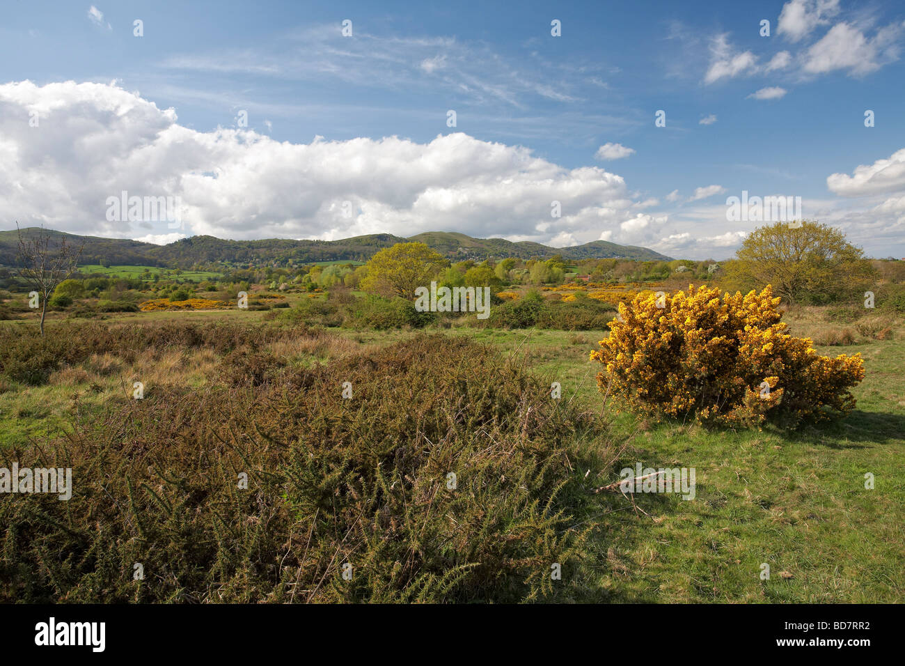 Il Malvern Hills da Berrow Downs Worcestershire Inghilterra REGNO UNITO Foto Stock