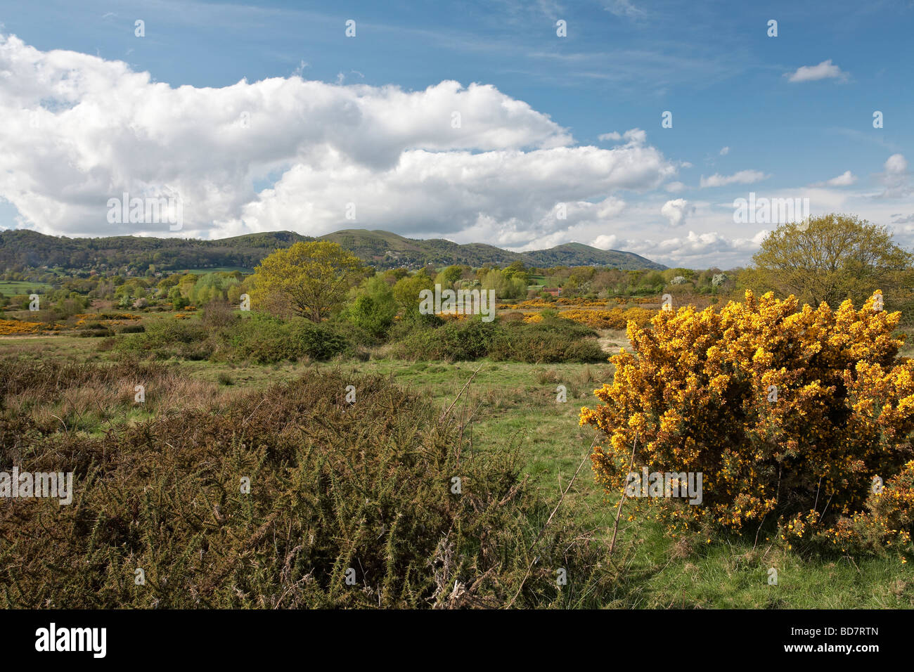 Il Malvern Hills da Berrow Downs Worcestershire Inghilterra REGNO UNITO Foto Stock