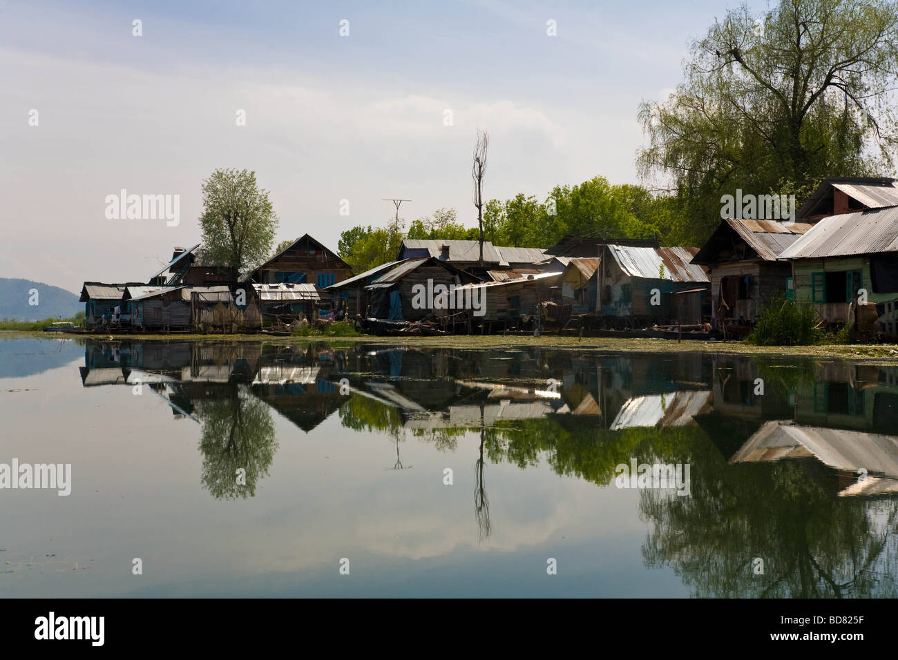 Un villaggio galleggiante riflessa in Dal lago, Kashmir Foto Stock