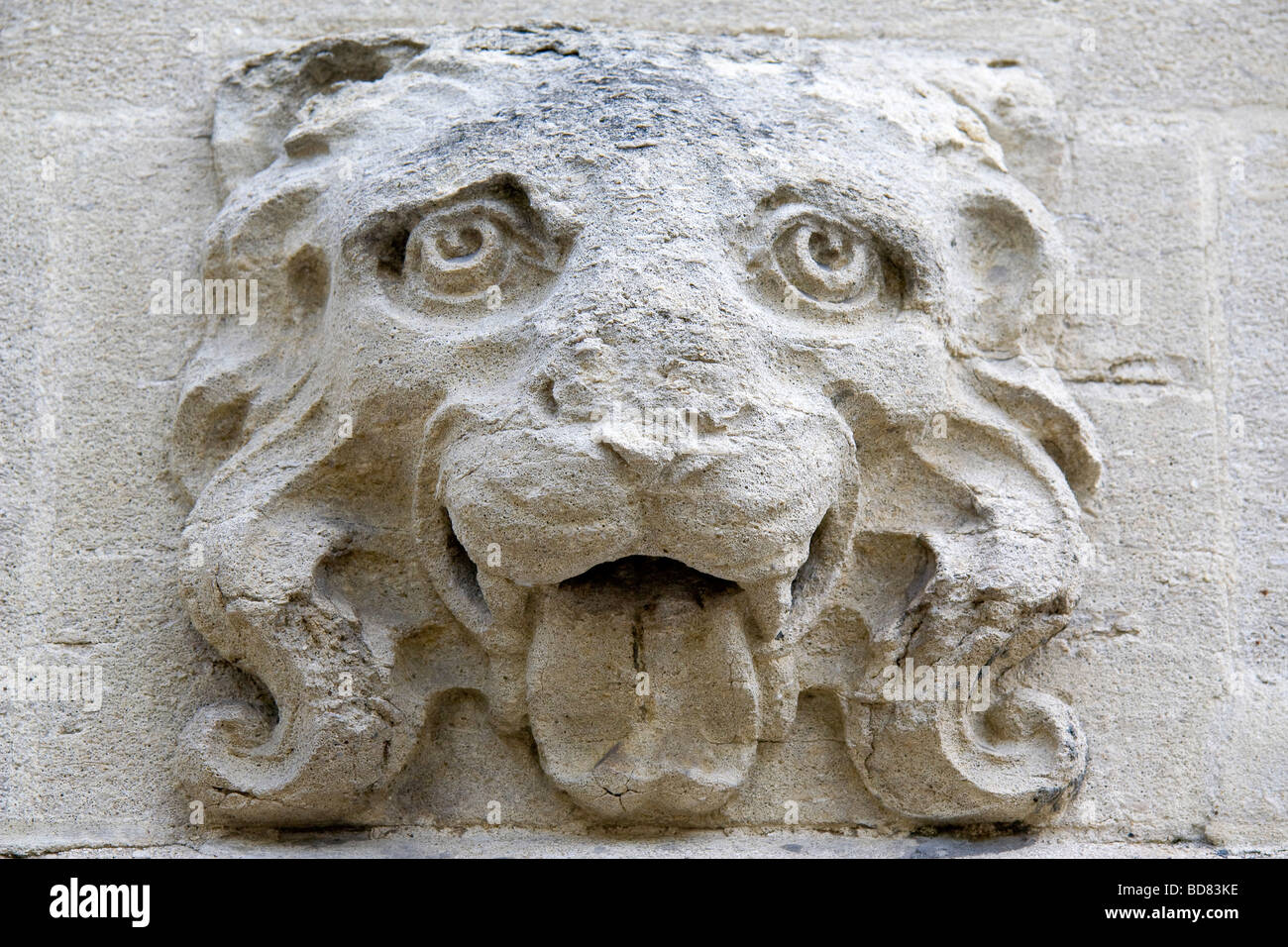 Alterato scolpita testa di leone, St Giles, Oxford Foto Stock