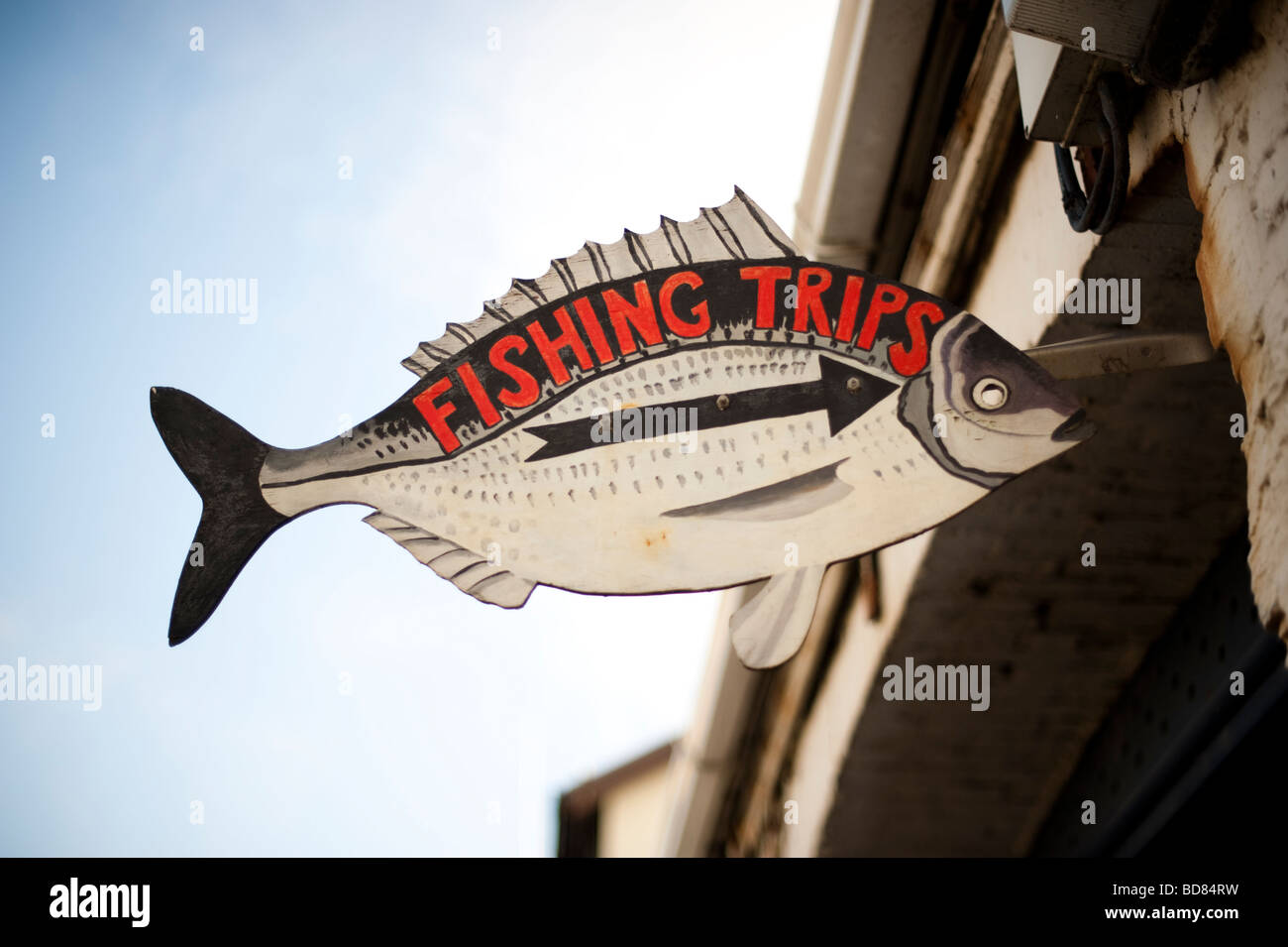 Un dipinto a mano fatto a mano segno pubblicità viaggi di pesca Aberystwyth harbour Wales UK Foto Stock