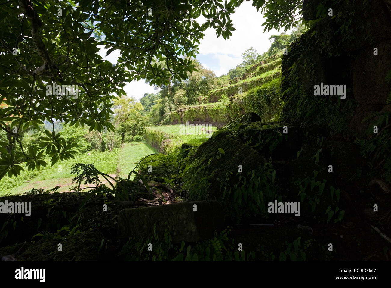 Moss coperto i terrazzamenti a Champasak tempio complesso Laos Foto Stock