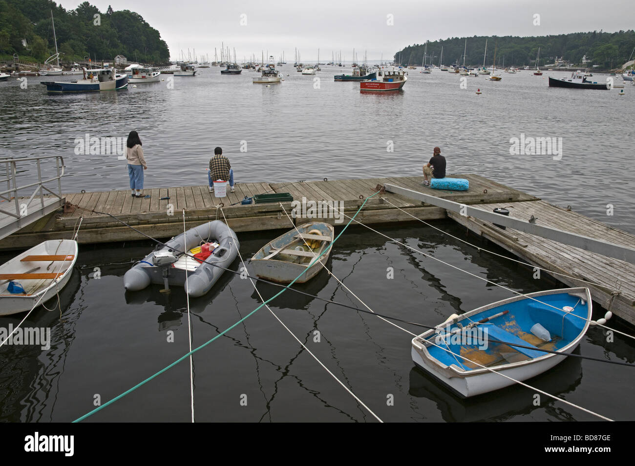 Barche nel porto di Camden Maine USA Foto Stock