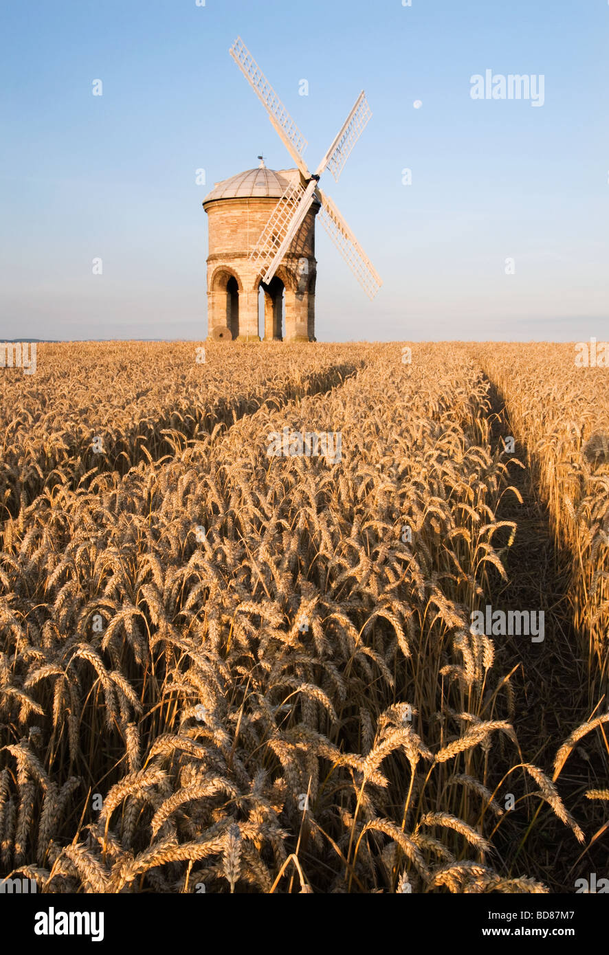 Inizio estate la luce del mattino al mulino a vento di Chesterton, Warwickshire Foto Stock