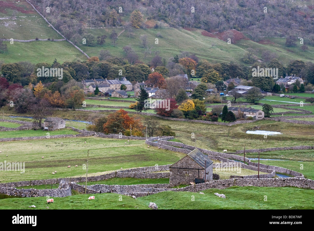 Littondale nello Yorkshire Foto Stock