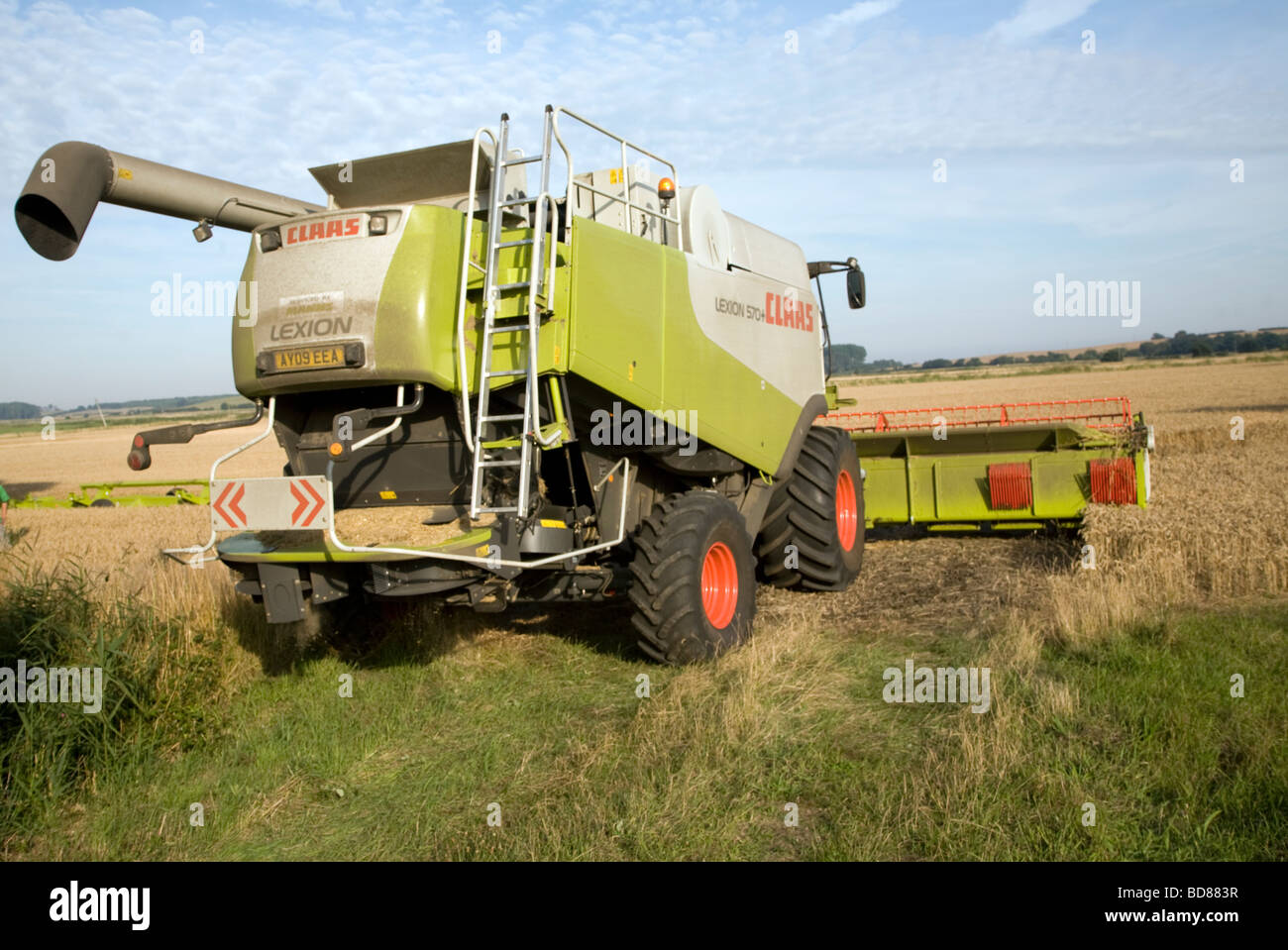Claas Lexion combine harvester la mietitura del frumento Butley, Suffolk, Inghilterra Foto Stock