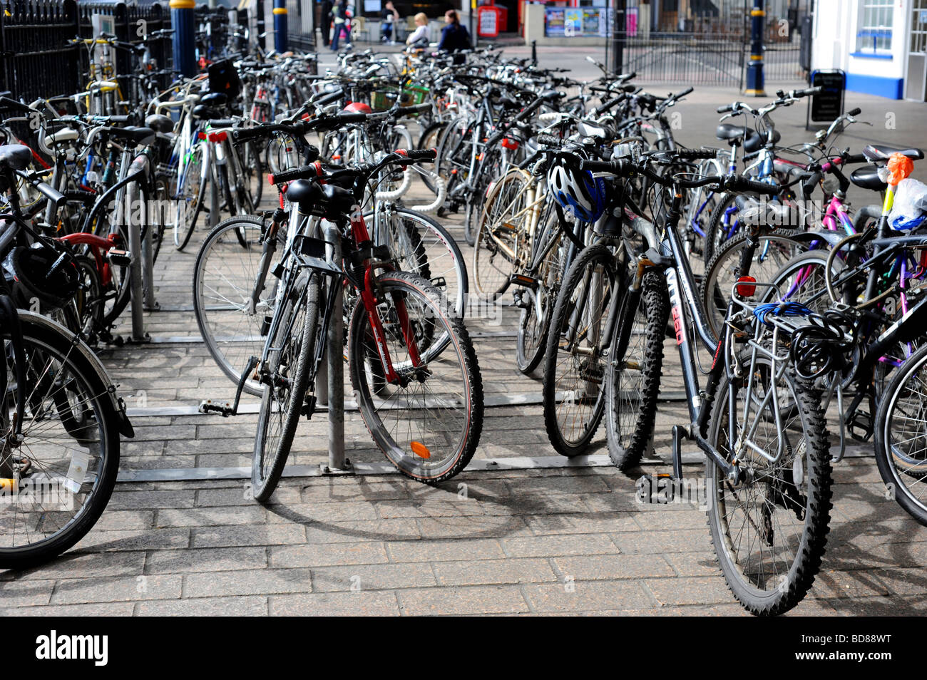 Pendolari lasciare righe di biciclette parcheggiate presso la stazione di Brighton tutti i giorni Foto Stock