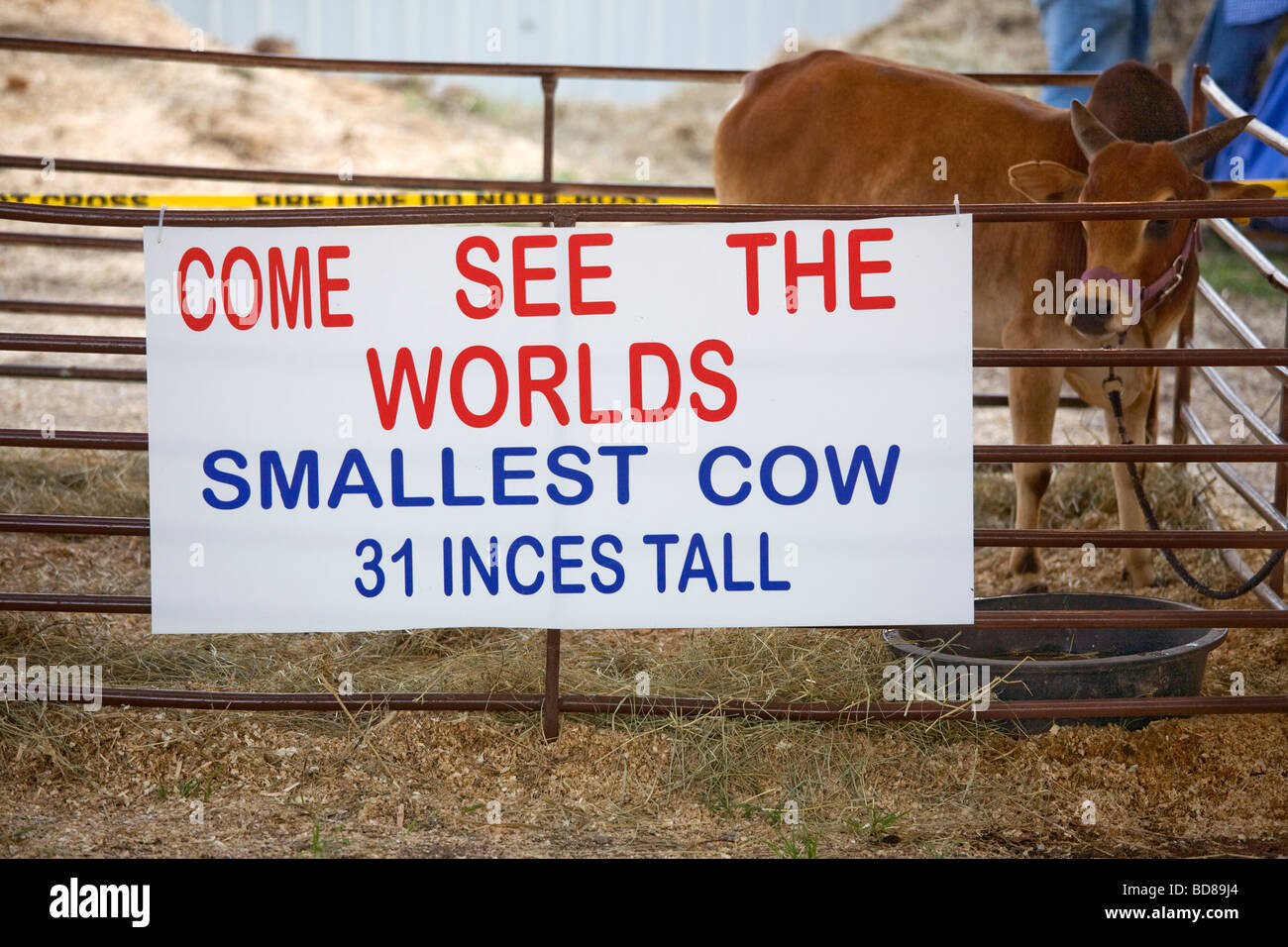 Putnam County Fair di Cookeville Tennessee, USA Foto Stock