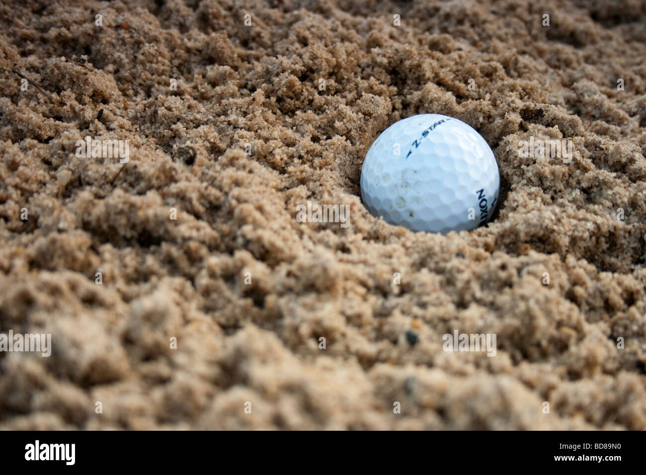 Pallina da golf nel Bunker Foto Stock