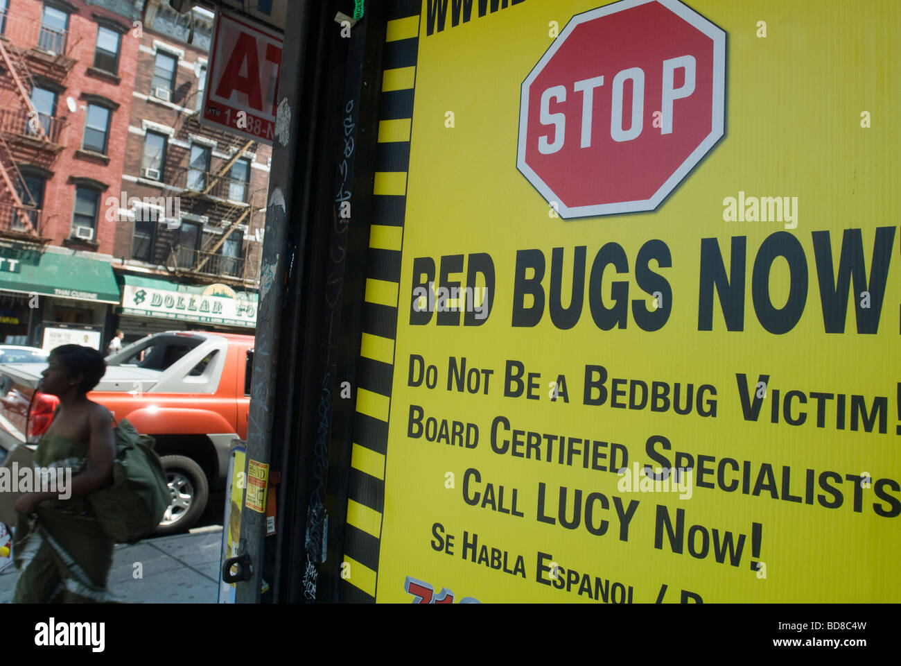 Un annuncio per un sterminatore sul muro di un edificio in Greenpoint quartiere di Brooklyn a New York Foto Stock