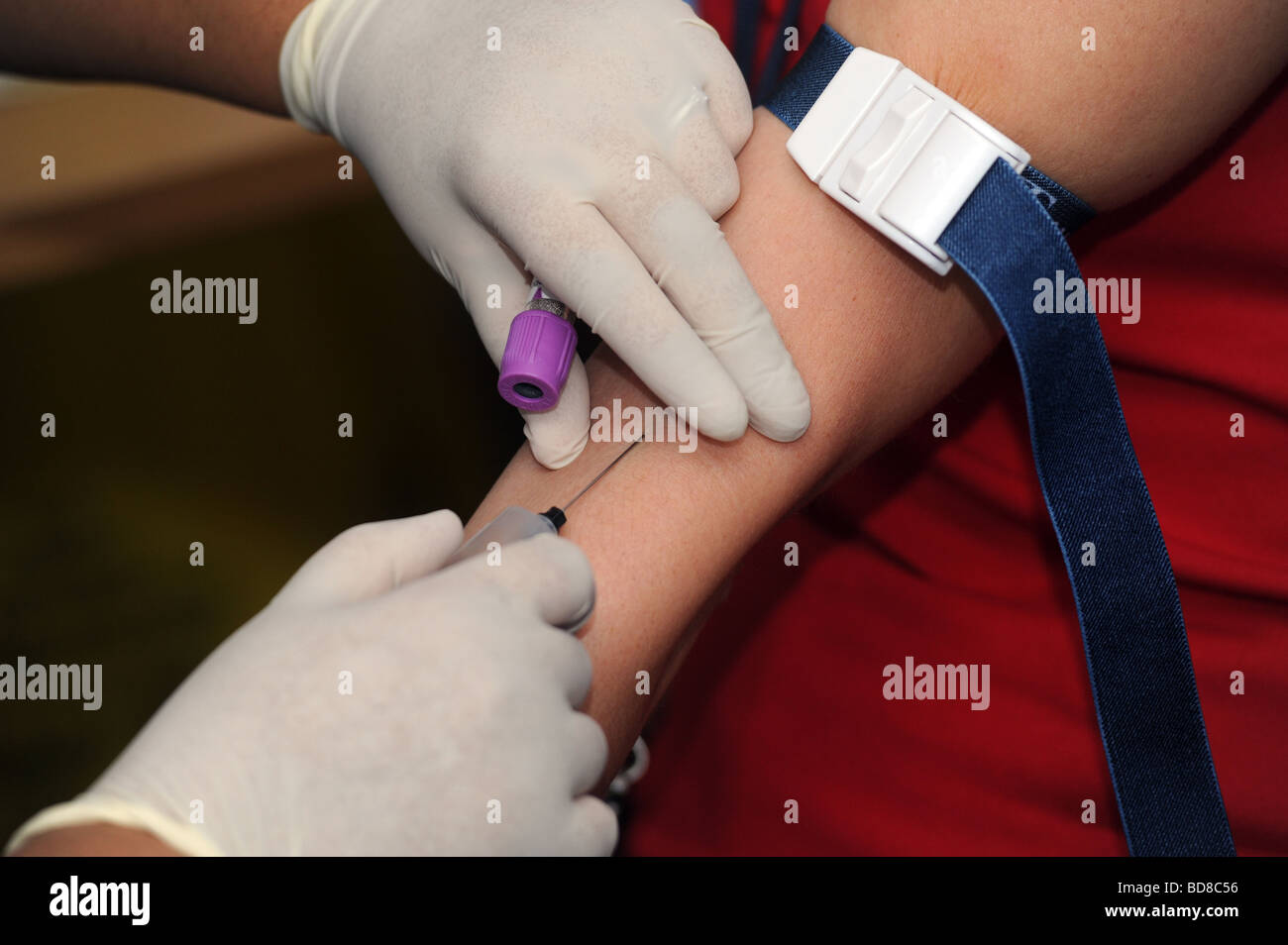 Una chiusura di un infermiere per prendere un campione di sangue da una donna Foto Stock
