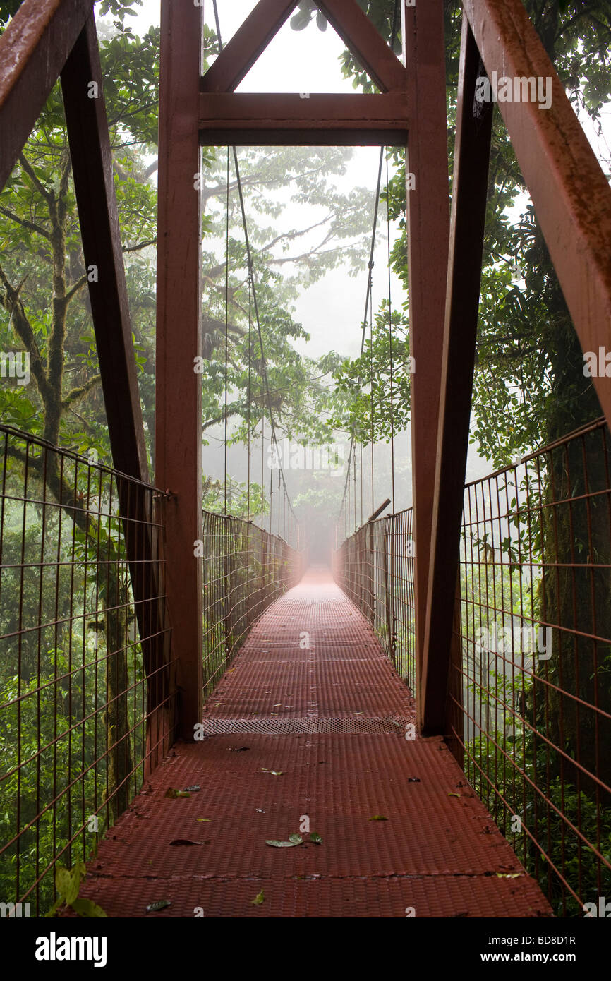 Ponte sospeso nella Monteverde Cloud Forest Riserve, Costa Rica. Foto Stock