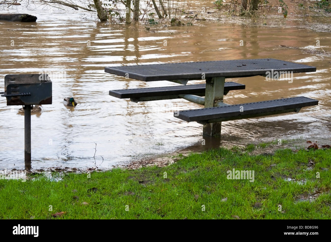 Area Picnic è inondato di travasi di acqua di fiume dopo le tempeste invernali. Foto Stock