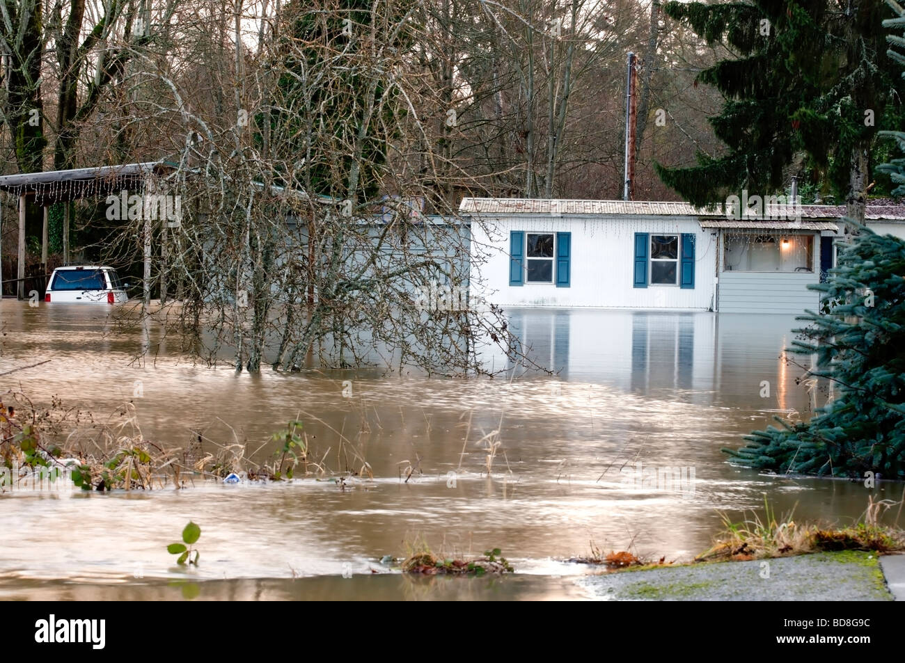 Straripamenti di fiumi hanno causato inondazioni nello Stato di Washington. Questa casa e auto sono sommersi in acqua Foto Stock