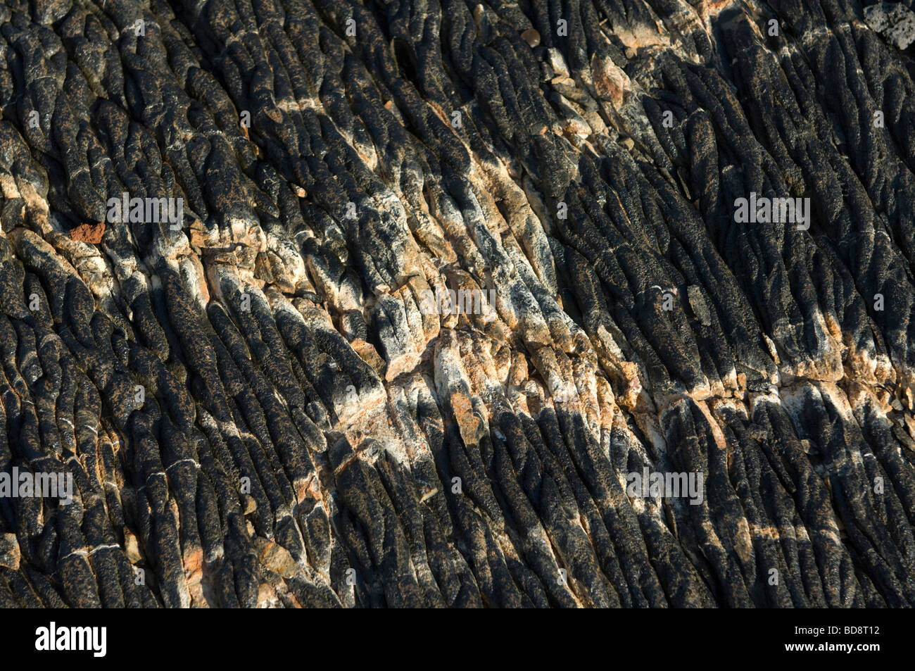 Hot Lava Pahoehoe crea forme Ribbon-Like man mano che si raffredda Sullivan Bay isola di Santiago Ecuador Galapagos Oceano Pacifico Foto Stock