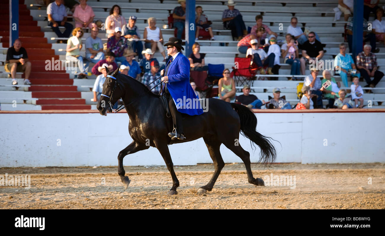 Putnam County Fair di Cookeville Tennessee, USA Foto Stock