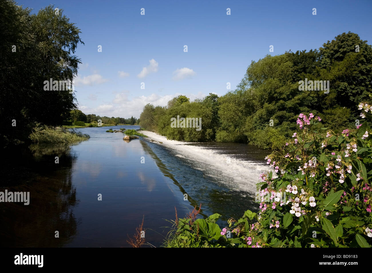 La diga sul fiume Liffey, islandbridge, County Dublin, Irlanda Foto Stock