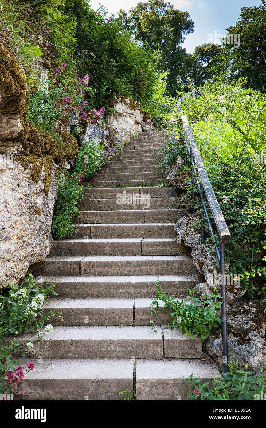 Passi in un parco della città Foto Stock