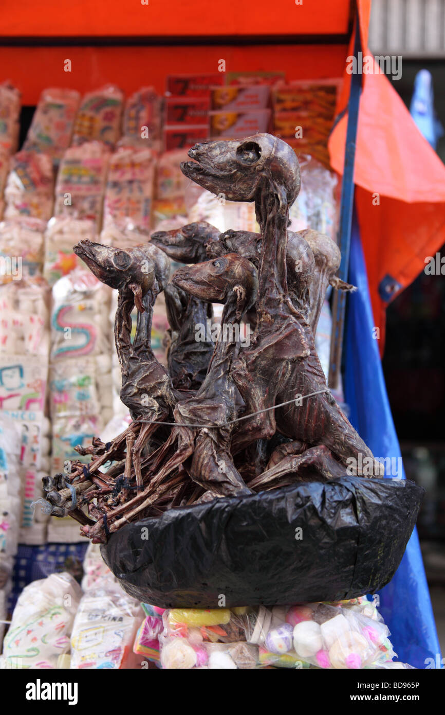 Feti di lama secchi (chiamato sullus locale) per la vendita in bancarella di strada in Witches Market , la Paz , Bolivia Foto Stock