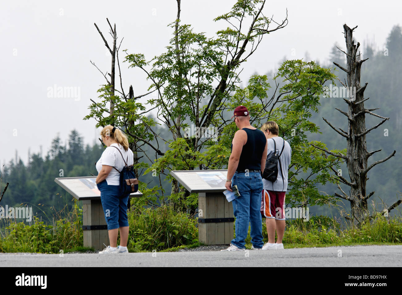 I turisti di lettura di segnaletica informativa a Clingmans Dome nel Parco Nazionale di Great Smoky Mountains in North Carolina Foto Stock