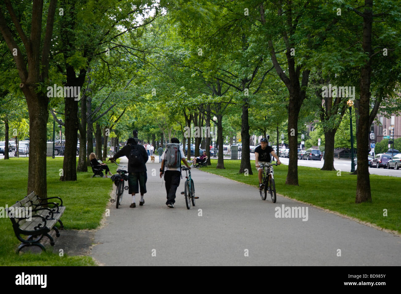 I ciclisti che corre lungo la strada panoramica nel centro del Commonwealth Avenue Boston Massachusetts Foto Stock