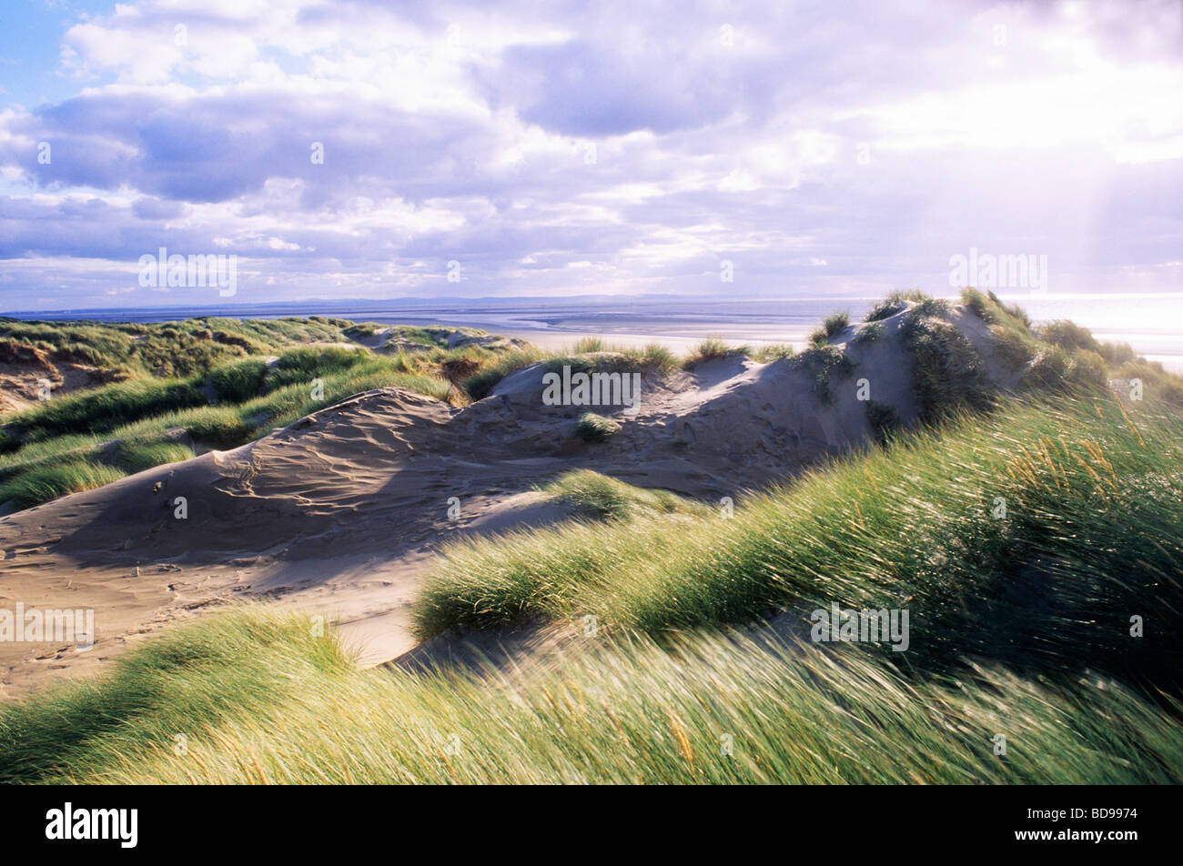 Formby Dune Lancashire inglese costa sabbiosa di sabbia paesaggi costieri Inghilterra marram spiaggia mare erba mare Foto Stock