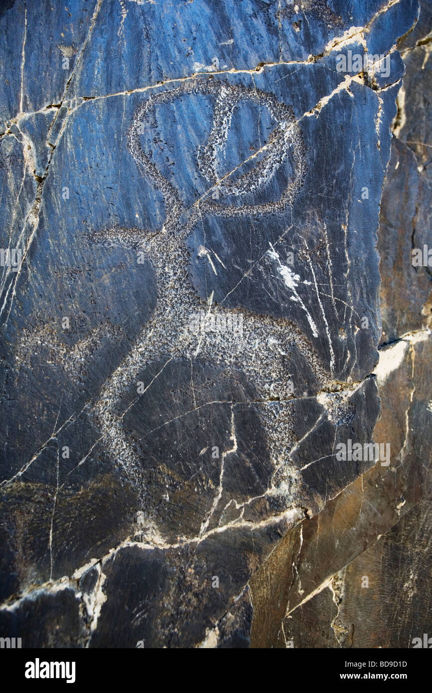 Rock carving (dipinto) in Sarmysh Gorge, Uzbekistan. Foto Stock