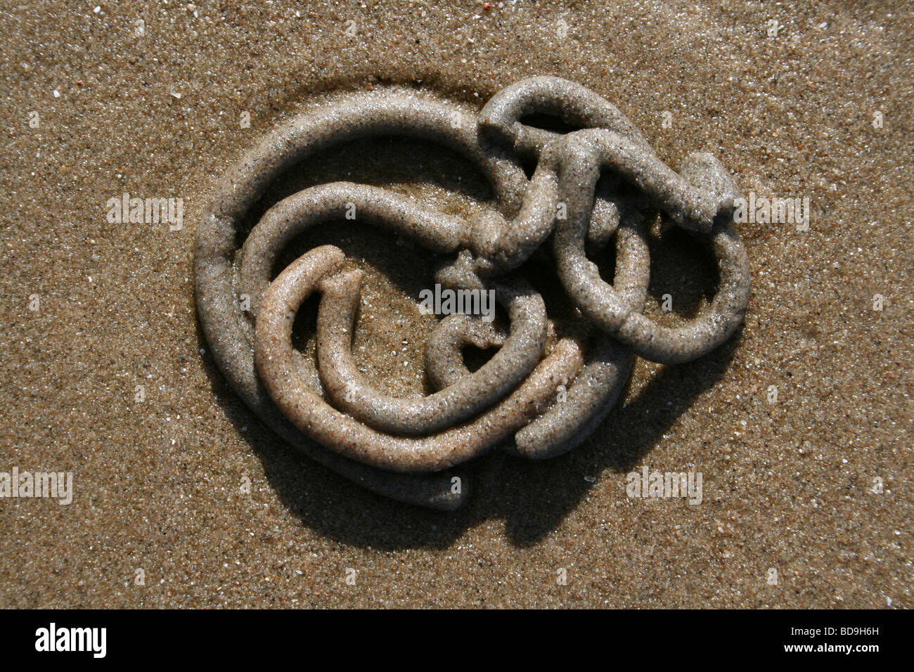 Spirale Lugworm Arenicola marina Cast a Crosby Beach, Merseyside, Regno Unito Foto Stock