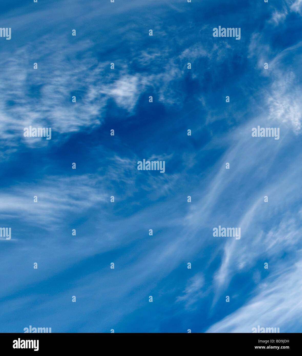 Estate cielo, altopiano di Valensole, Provenza, Francia Foto Stock