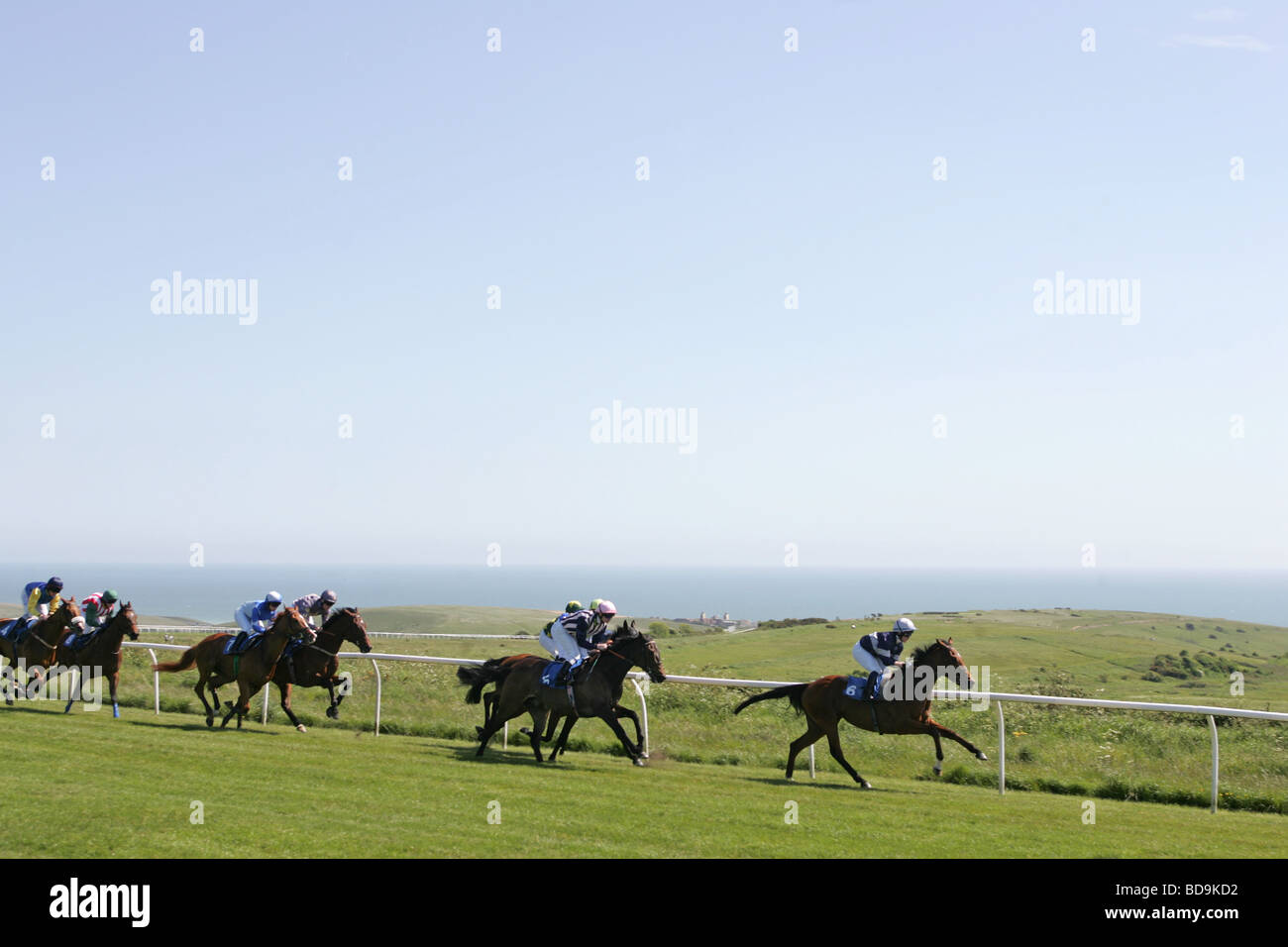 Corse di cavalli a Brighton Race Course, East Sussex. Regno Unito. Foto Stock