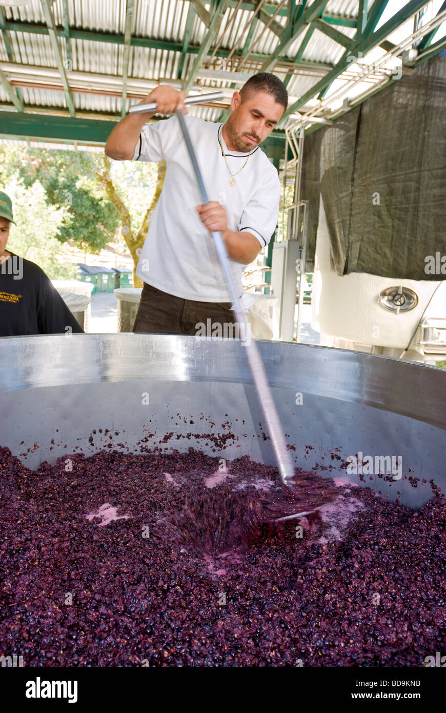 Famiglia Benziger Winery, Glen Ellen, Sonoma Valley, California. Foto Stock