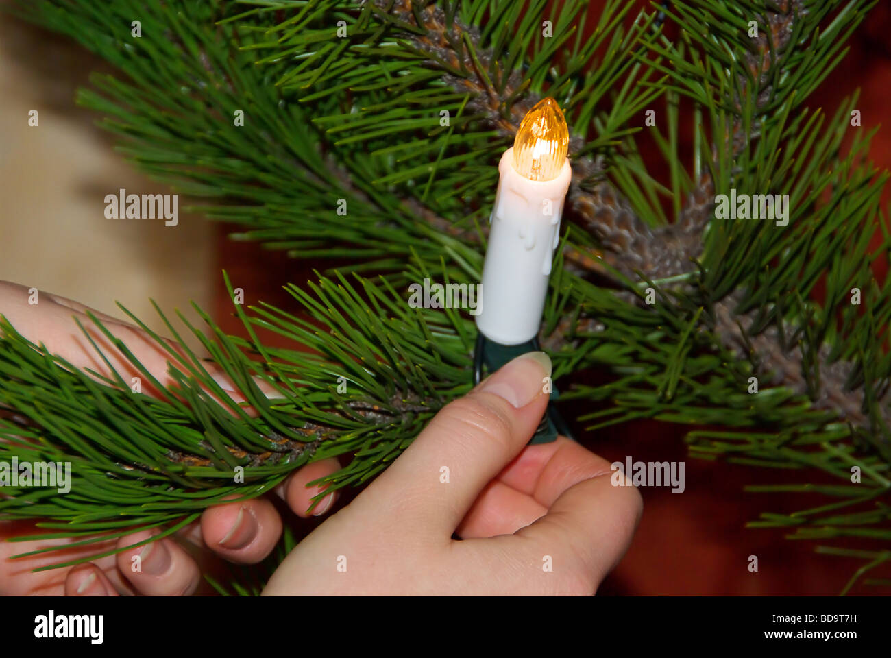 Weihnachtsbaum albero di Natale 04 Foto Stock