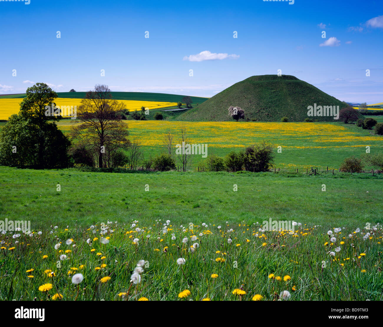 L'uomo antico fece tumulo di gesso neolitico di Silbury Hill circondato da campi di dandelioni e colza vicino Avebury, Wiltshire, Inghilterra. Foto Stock