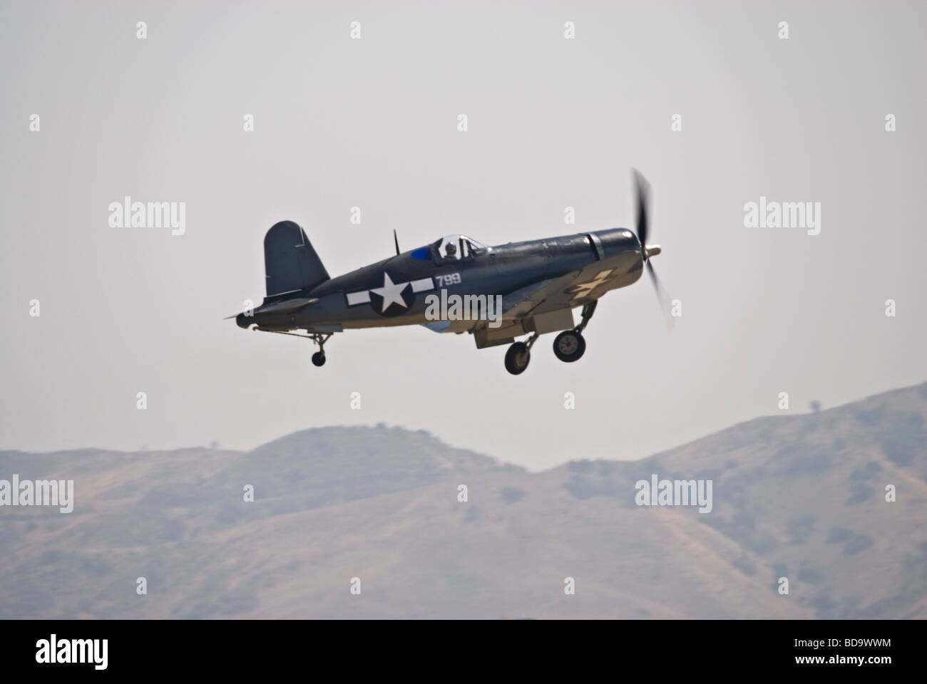 Una chance Vought F-4U Corsair solleva la pista di un air show, carrelli di atterraggio solo parzialmente ritratta. Foto Stock