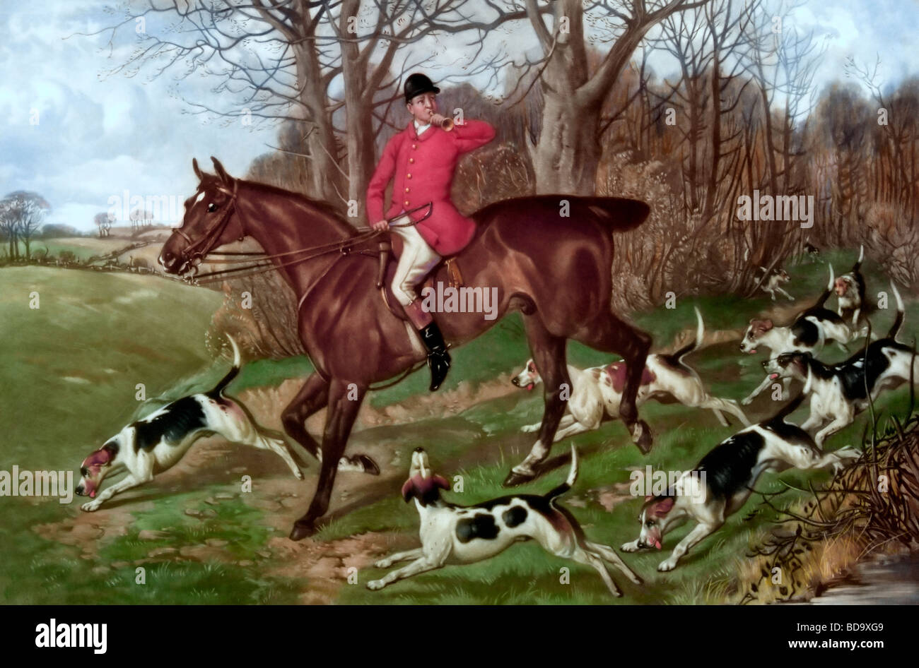 Uomo A Cavallo Con Cani La Caccia Alla Volpe Foto Stock Alamy