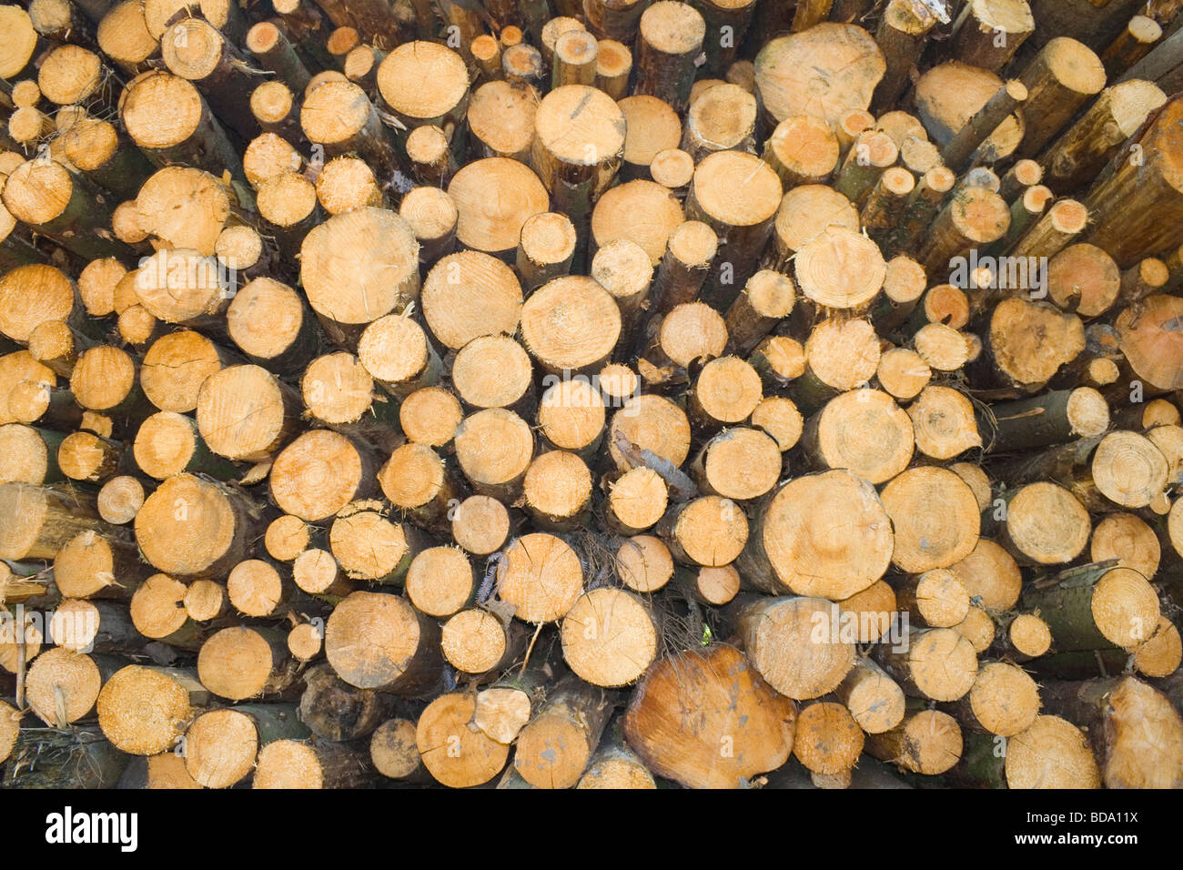 Pile di trito di registri nel distretto del Lago Cumbria Inghilterra England Foto Stock