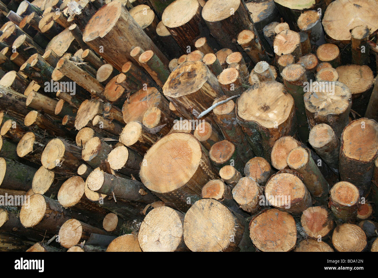 Pile di trito di registri nel distretto del Lago Cumbria Inghilterra England Foto Stock