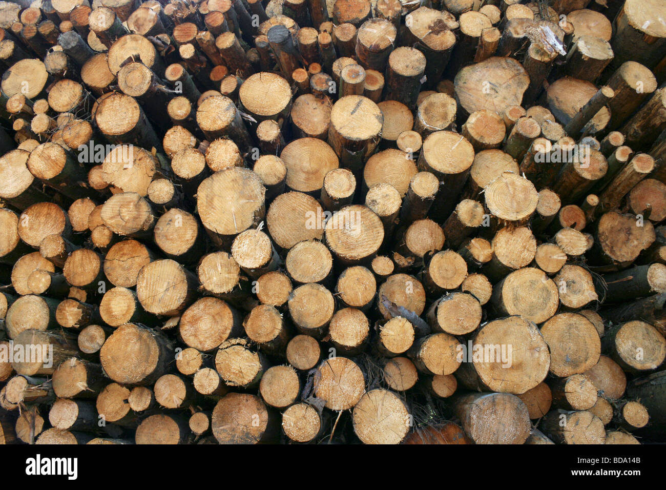 Pile di trito di registri nel distretto del Lago Cumbria Inghilterra England Foto Stock
