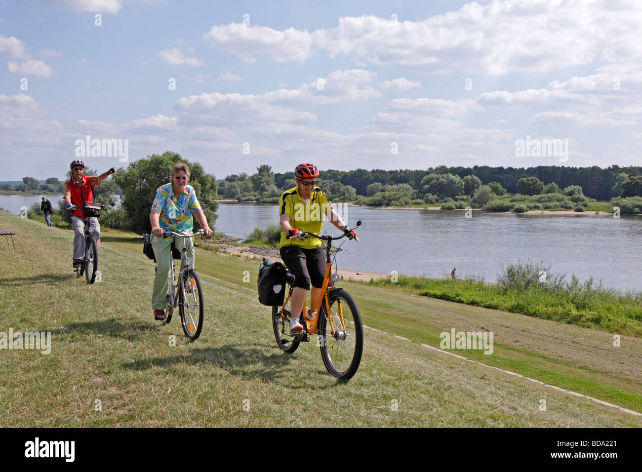 Pista ciclabile lungo il fiume Elba, Bassa Sassonia, Germania settentrionale Foto Stock