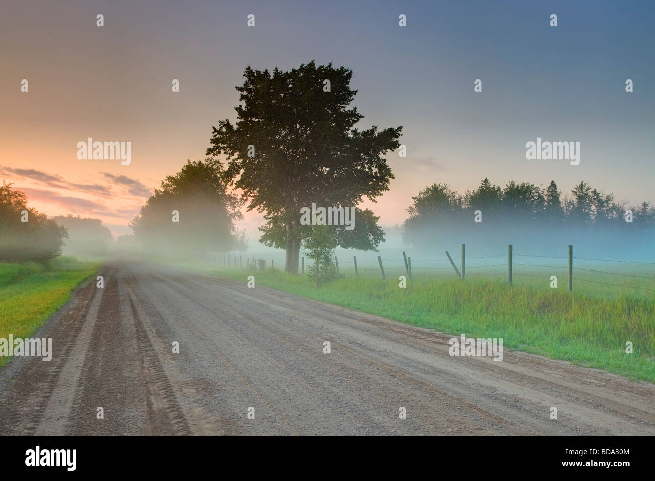 Foggy Alberta Backroad prima dell'alba Foto Stock