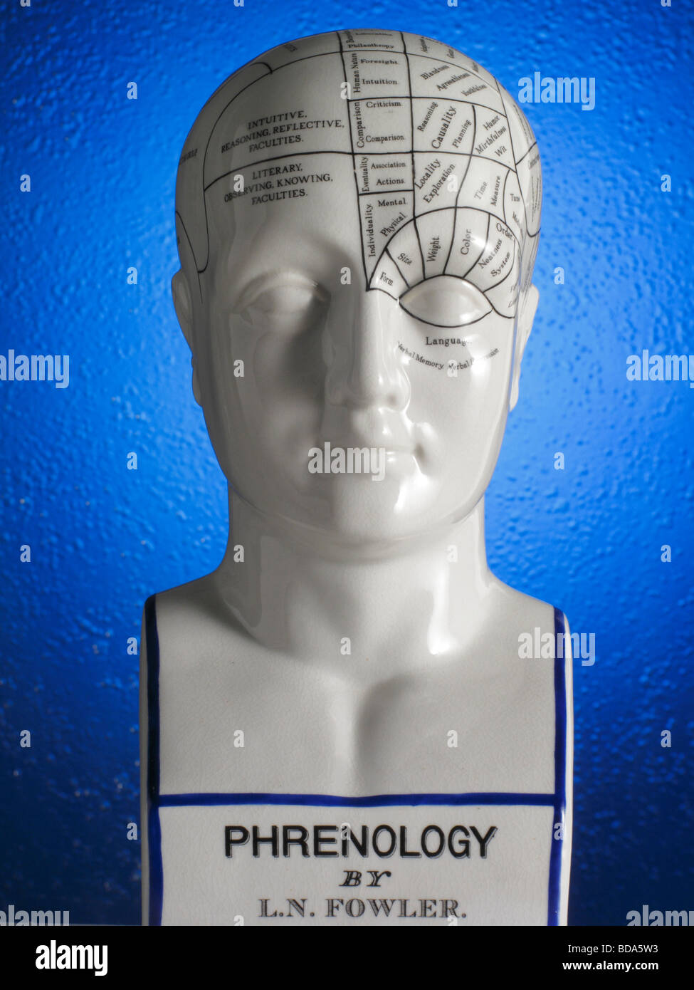 Close up Phrenology schema di testa Foto Stock