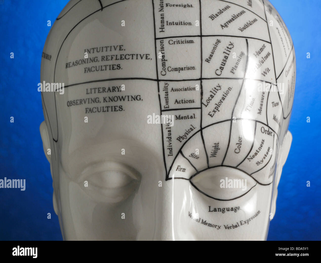 Head Schema Phrenology head diagram immagini e fotografie stock ad alta risoluzione ...