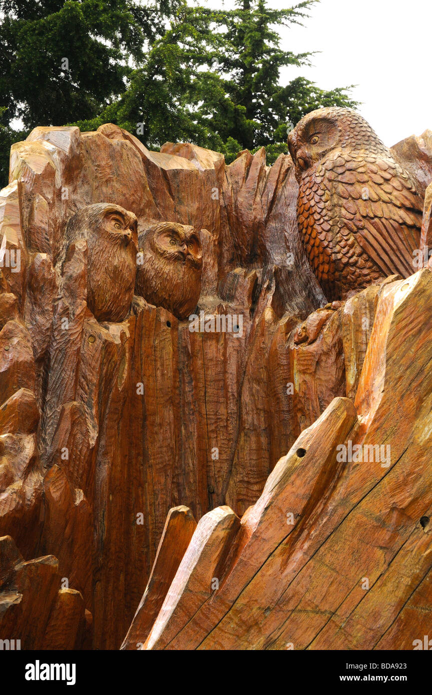 Scultura in legno di civette su Grouse Mountain a Vancouver in British Columbia Foto Stock