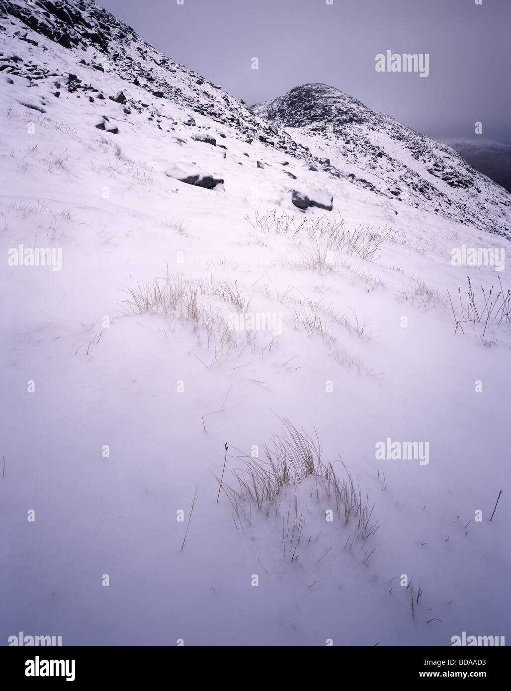 Alta sulla spalla di Beinn Sgulaird, un munro sopra Loch Creran, Argyll, Scotland, Regno Unito Foto Stock