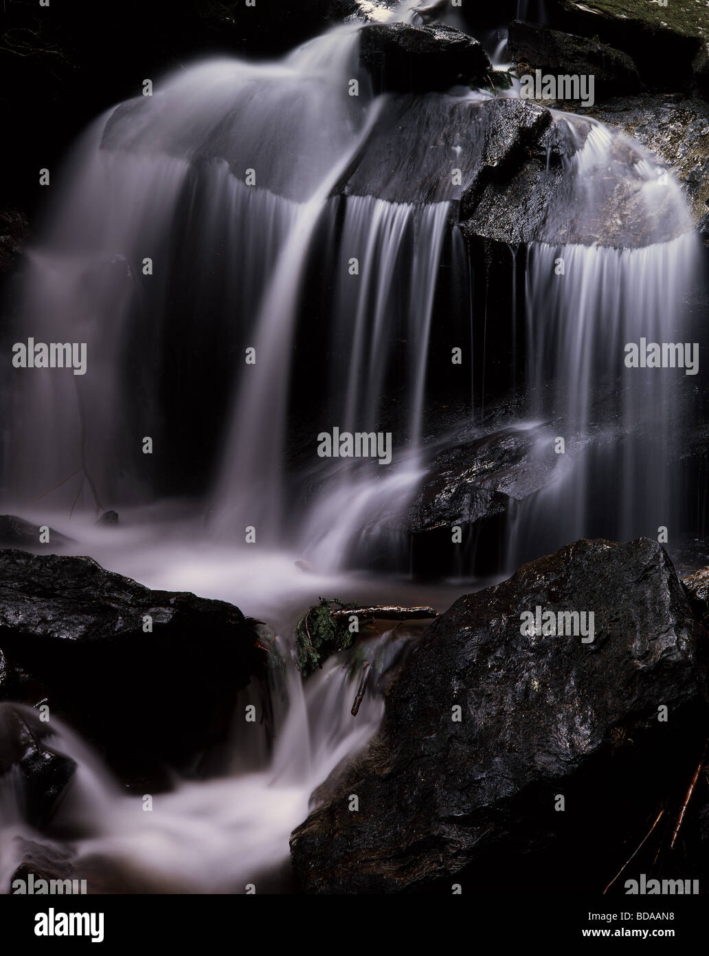 La cascata nel puck Glen, una gola vicino Benmore giardini, Loch Eck, Argyll and Bute, Scotland, Regno Unito Foto Stock